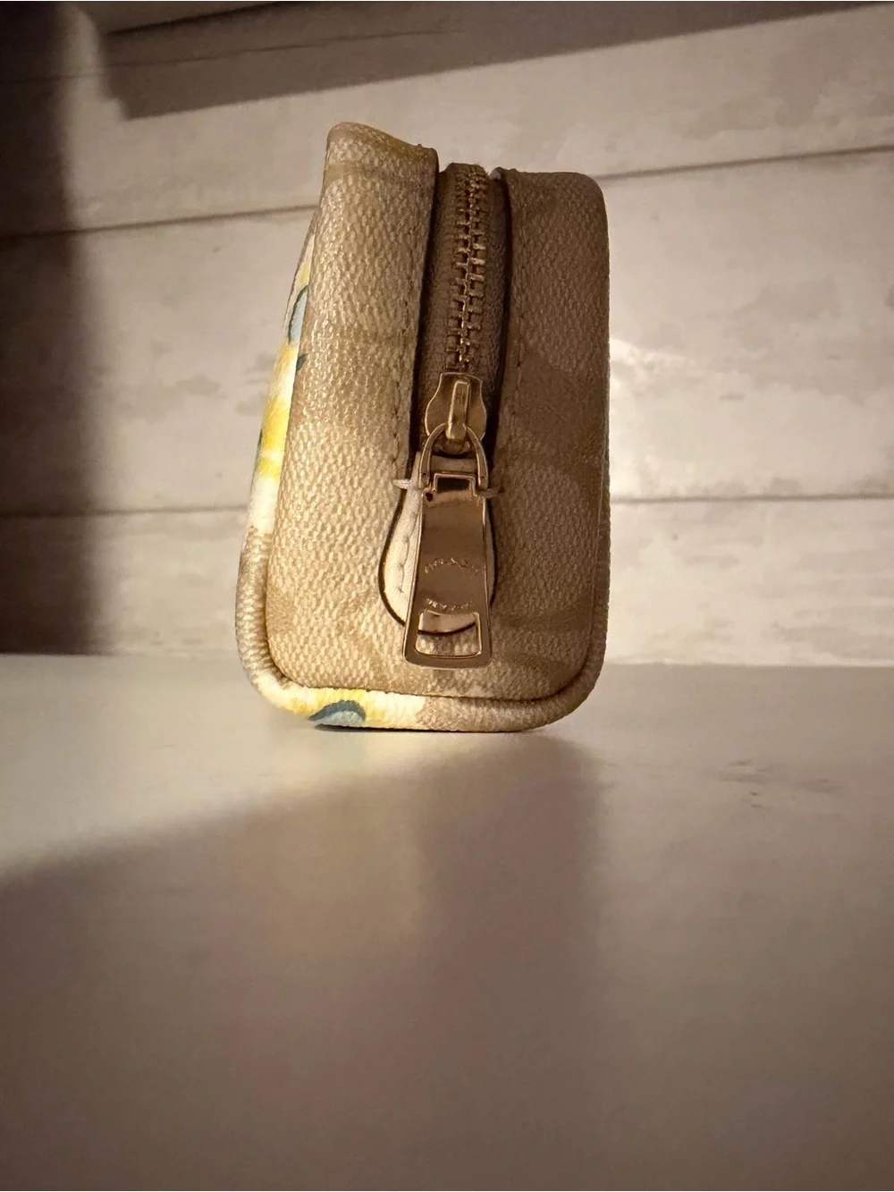 C3054 Coach mini pouch